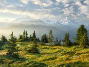 Émosson, Wallis, Schweiz (Vordergrund), Aiguille Verte, Haute-Savoie, Frankreich (Hintergrund) Émosson, Wallis, Schweiz (Vordergrund), Aiguille Verte, Haute-Savoie, Frankreich (Hintergrund)
